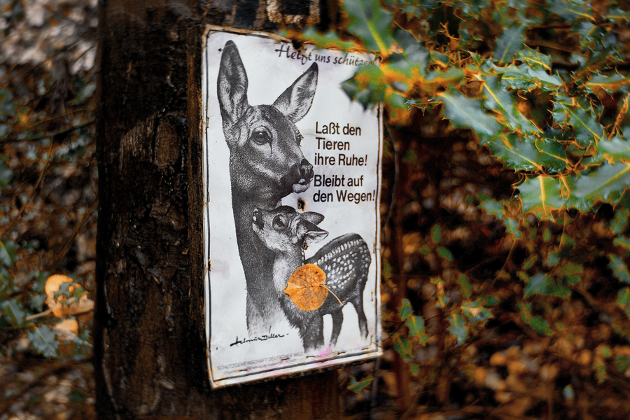 Signpost of the Schutzgemeinschaft Deutsches Wild in the Grafenberg Forest in Düsseldorf