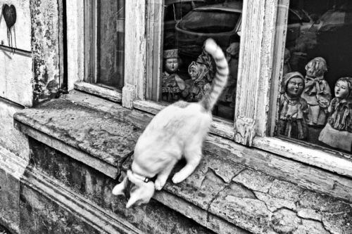 Catwalk, Berlin, Prenzlauer Berg