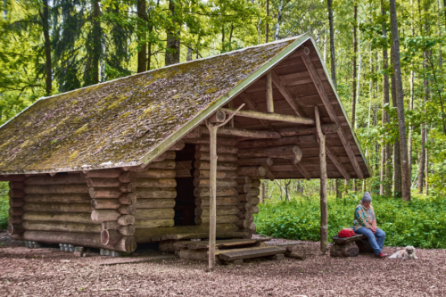 Das Blockhaus am Goldbach ist ein traditionell errichteter Unterstand im Rabensteiner Wald, einem Stadtteil von Chemnitz in Sachsen. Es wurde im Jahr 2005 von Tischlerlehrlingen des Don Bosco Werks Burgstädt unter der Leitung von Tischlermeister Nils Rabending, gemeinsam mit Förster Ullrich Göthel, Praktikant Fabian Lippoldt und der Umweltbildungsregion (UBR) Rabenstein gebaut. Für den Bau wurden ausschließlich einheimische Hölzer wie Fichte, Lärche und Roteiche verwendet. Das Blockhaus dient als Rastplatz für Wanderer und Radfahrer und liegt inmitten des Rabensteiner Waldes. In der Nähe befinden sich Sehenswürdigkeiten wie die Torruine am Poltermühlenteich, der Pfaffenberg, das Wildgatter Oberrabenstein, der Stausee Rabenstein und die Burg Rabenstein. Das Blockhaus am Goldbach ist ein traditionell errichteter Unterstand im Rabensteiner Wald, einem Stadtteil von Chemnitz in Sachsen. Es wurde im Jahr 2005 von Tischlerlehrlingen des Don Bosco Werks Burgstädt unter der Leitung von Tischlermeister Nils Rabending, gemeinsam mit Förster Ullrich Göthel, Praktikant Fabian Lippoldt und der Umweltbildungsregion (UBR) Rabenstein gebaut. Für den Bau wurden ausschließlich einheimische Hölzer wie Fichte, Lärche und Roteiche verwendet. Das Blockhaus dient als Rastplatz für Wanderer und Radfahrer und liegt inmitten des Rabensteiner Waldes. In der Nähe befinden sich Sehenswürdigkeiten wie die Torruine am Poltermühlenteich, der Pfaffenberg, das Wildgatter Oberrabenstein, der Stausee Rabenstein und die Burg Rabenstein.